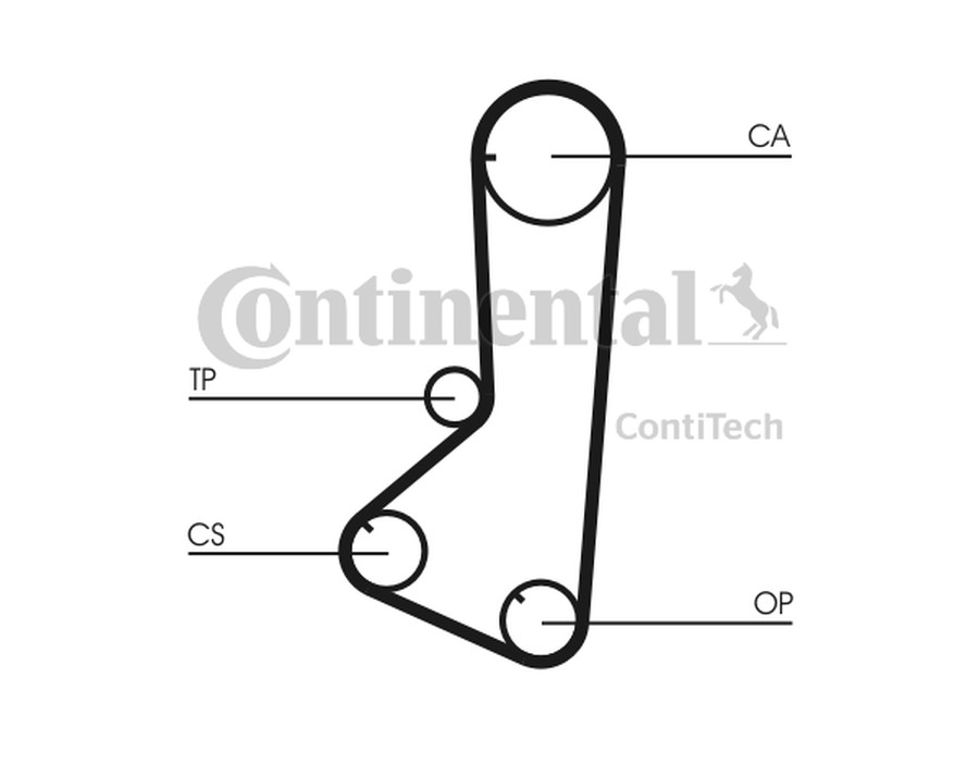 RULLO TENDITORE, CINGHIA DENTATA_CT839