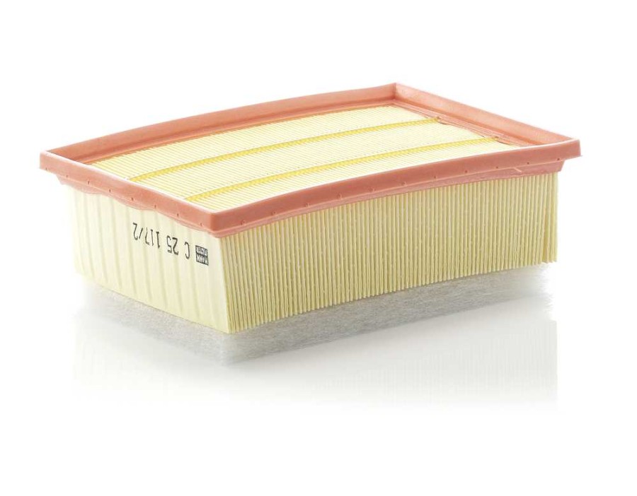 GALOPPINO/GUIDACINGHIA, CINGHIA POLY-V_C25117/2