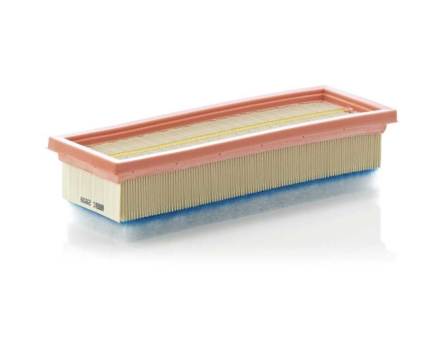 CINGHIA DENTATA_C2859