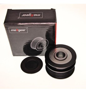 Dispositivo ruota libera alternatore