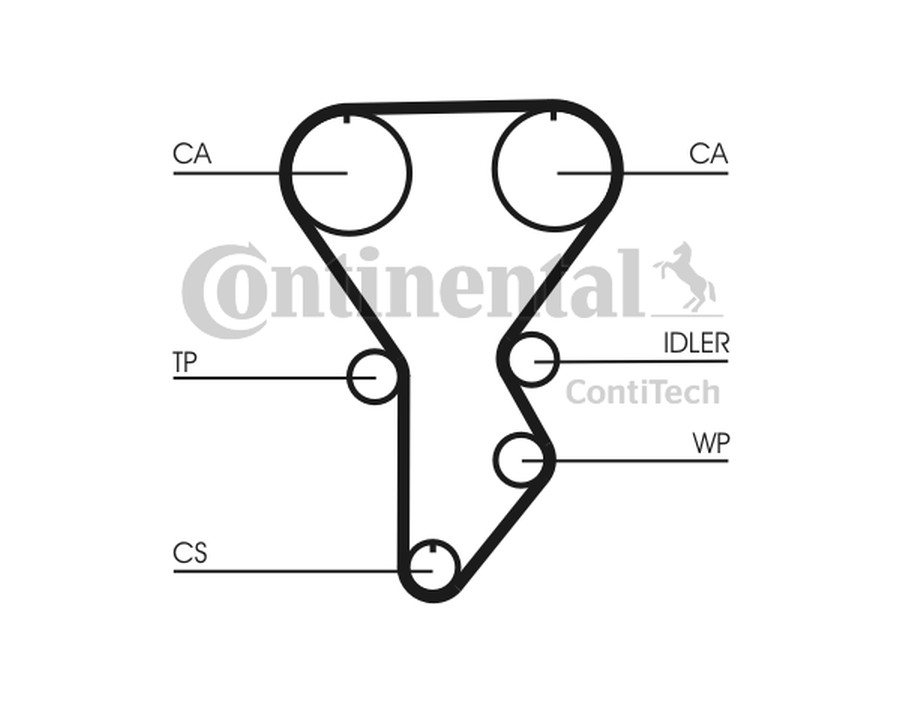 KIT BRONZINE DI BIELLA_CT790