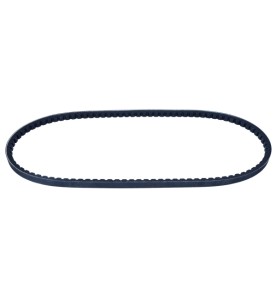 Cinghia trapezoidale