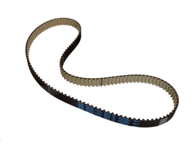 Cinghia dentata