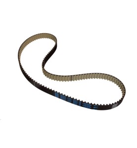Cinghia dentata