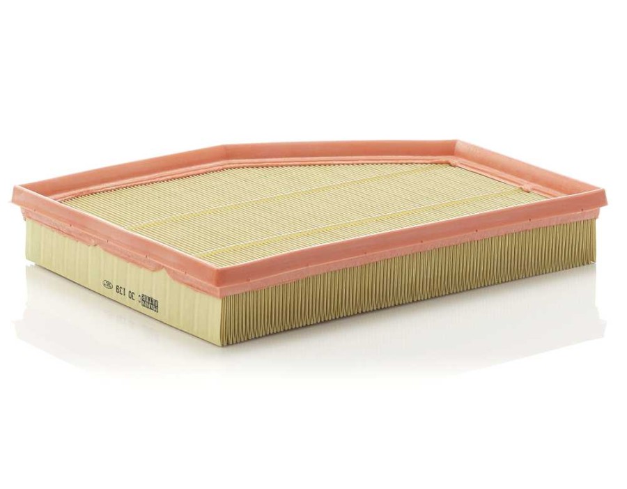 CINGHIA DENTATA_C30139