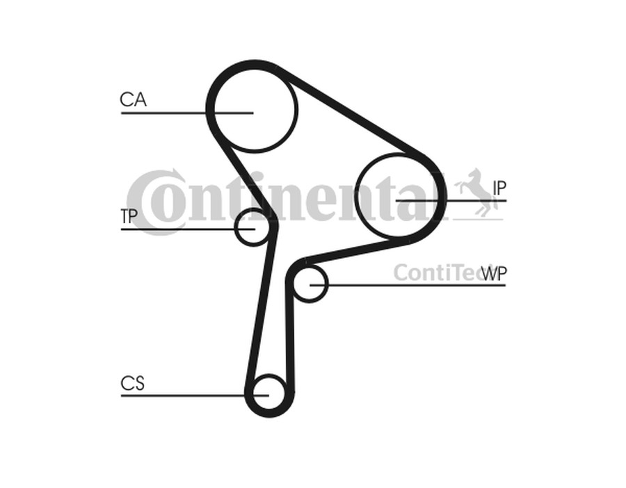 Pompa acqua + Kit cinghie dentate