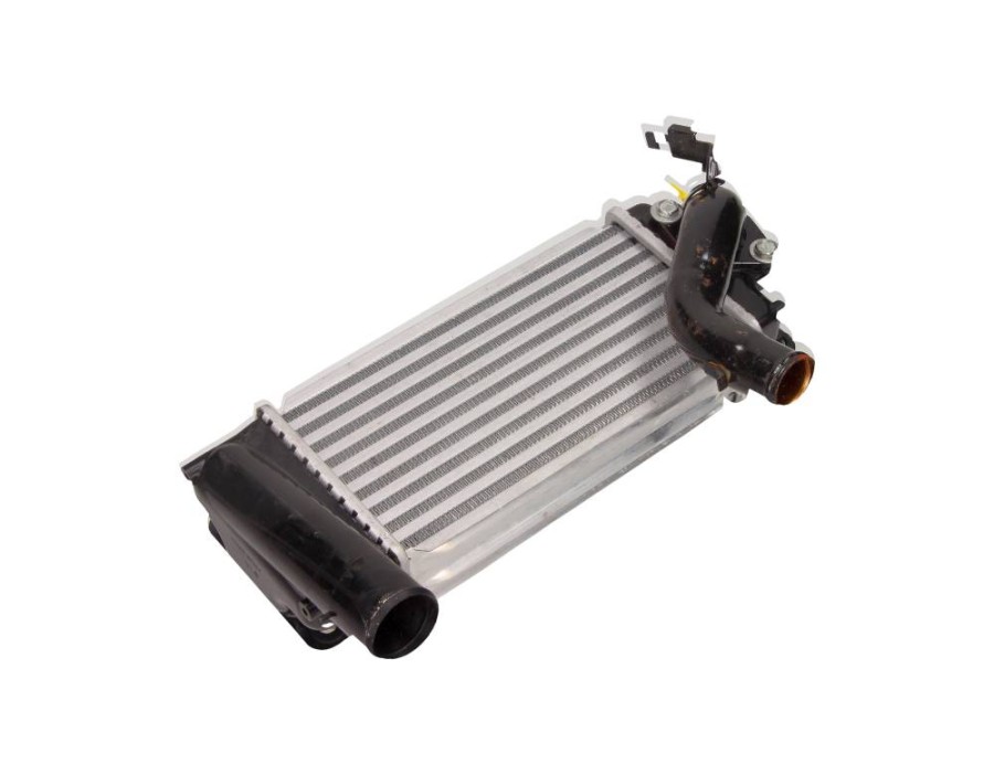 CINGHIA POLY-V_NRF30245