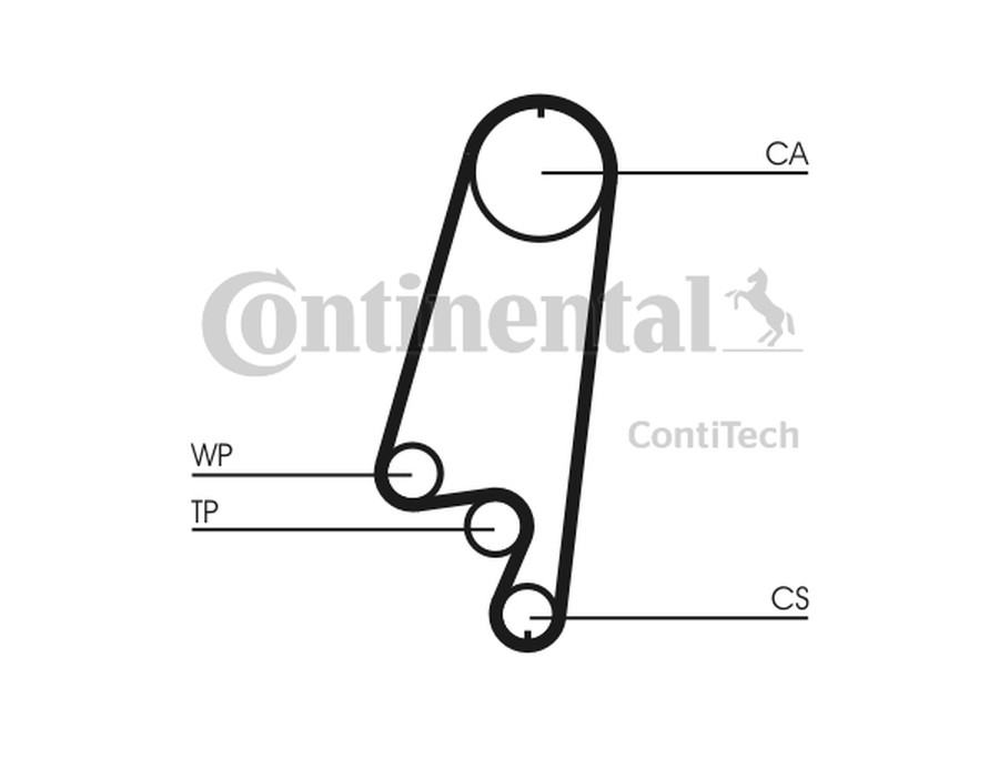 KIT CAVI ACCENSIONE_CT866