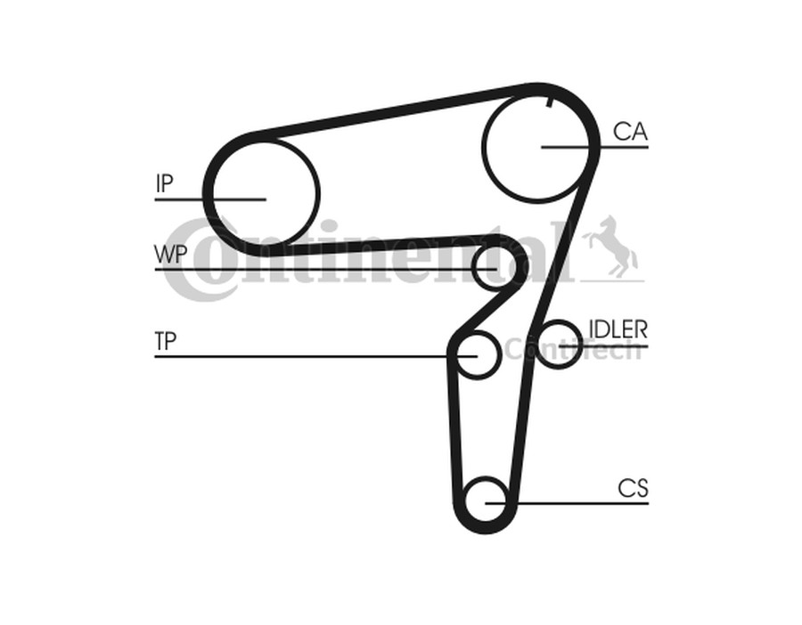 Pompa acqua + Kit cinghie dentate
