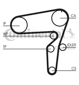 Pompa acqua + Kit cinghie dentate