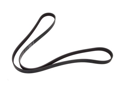 Cinghia Poly-V