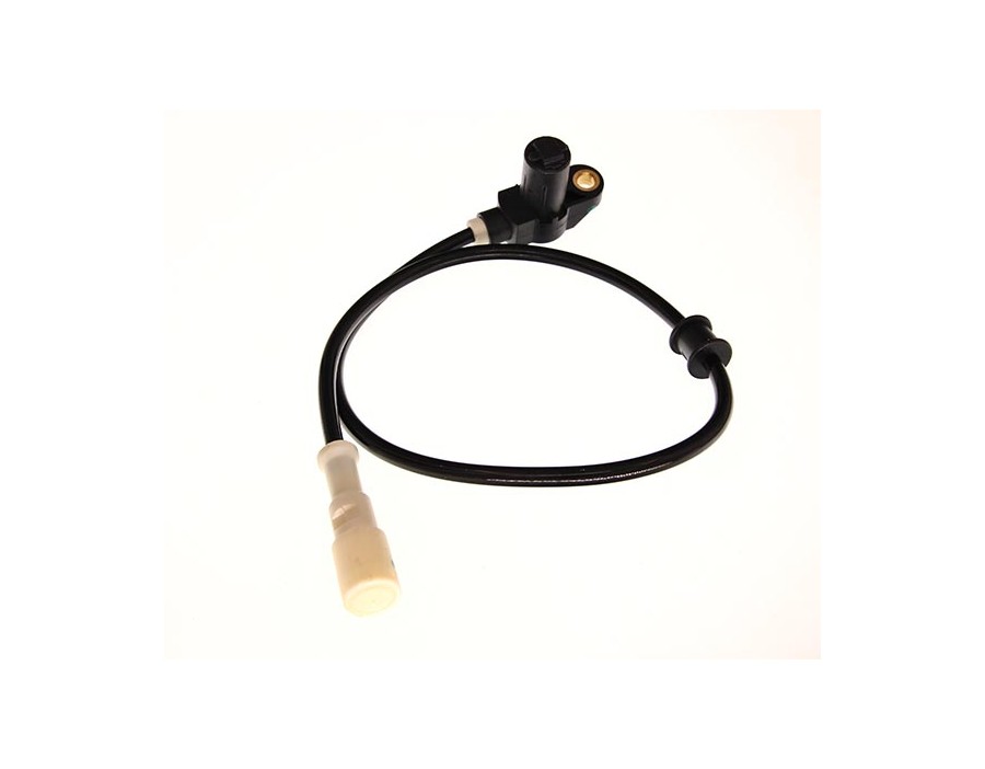 GALOPPINO/GUIDACINGHIA, CINGHIA POLY-V_1238918/MG