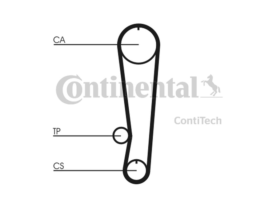 PARAOLIO, ALBERO A GOMITI_CT808