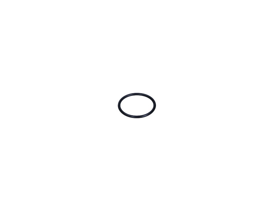 ORING APARATU ZAP. PEUGEOT 205, 307, 309, 605 1.1/1.4/1.6