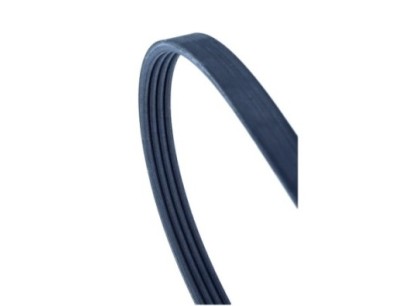 Cinghia Poly-V
