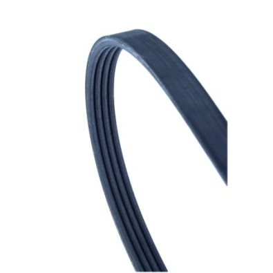 Cinghia Poly-V