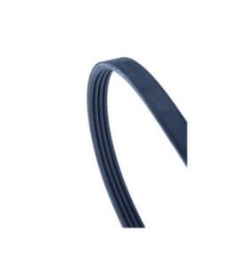Cinghia Poly-V