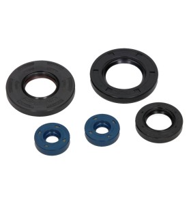 ZESTAW USZCZELNIACZY OLEJOWYCH SILNIKA KPL. MOTO. APRILIA LEONARDO  4T 125 1996-2001 (5EL.)