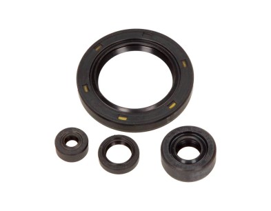 ZESTAW USZCZELNIACZY OLEJOWYCH SILNIKA KPL. MOTO. HONDA CB 250 1994-2007 (5EL.)