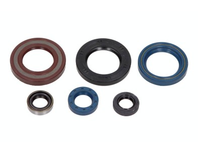 ZESTAW USZCZELNIACZY OLEJOWYCH SILNIKA KPL. MOTO. KTM GS 350 1986-1994