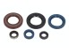 ZESTAW USZCZELNIACZY OLEJOWYCH SILNIKA KPL. MOTO. KTM GS 350 1986-1994