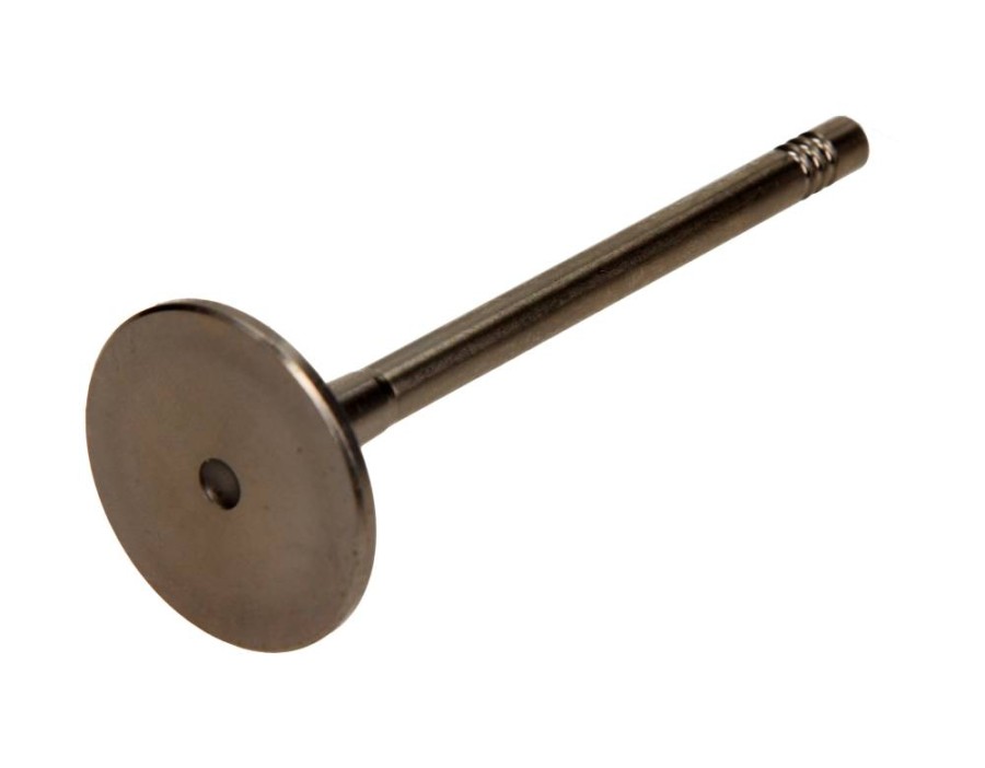 PODUSZKA SIL. RENAULT/OPEL TRAFIC II / VIVARO PR (PROTTEGO EXCHANGE)_PVWG081