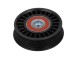 Braccio tenditore, Cinghia Poly-V