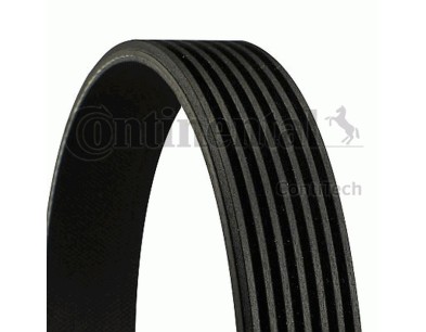 Cinghia Poly-V