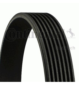 Cinghia Poly-V