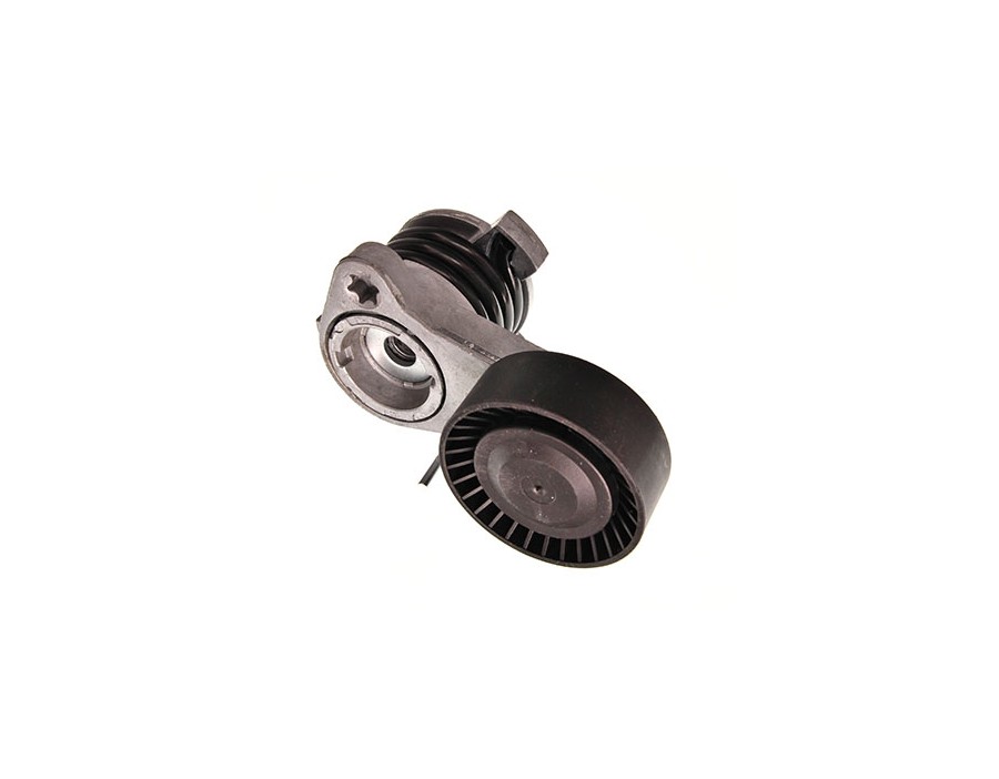 Braccio tenditore, Cinghia Poly-V