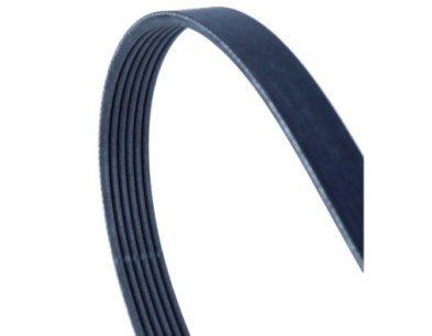 Cinghia Poly-V