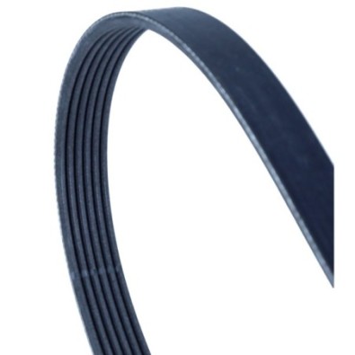 Cinghia Poly-V