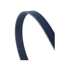 Cinghia Poly-V