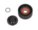 Braccio tenditore, Cinghia Poly-V