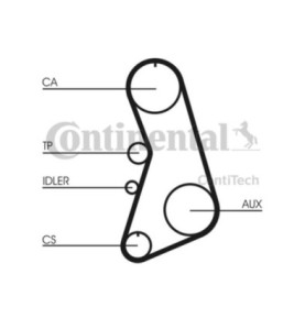 Cinghia dentata