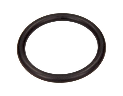 USZCZELNIACZ PRZEPUSTNICY (DUY) RENAULT CLIO (98- )