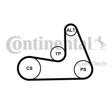 Cinghia Poly-V