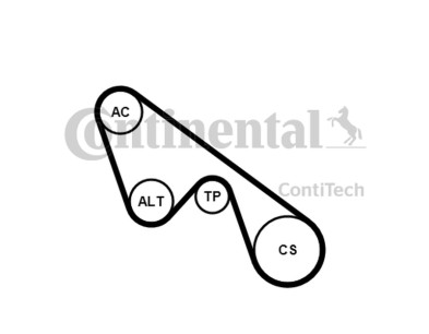 Kit Cinghie Poly-V