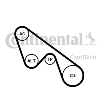 Kit Cinghie Poly-V