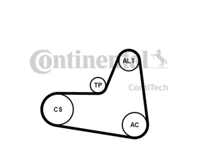 Kit Cinghie Poly-V