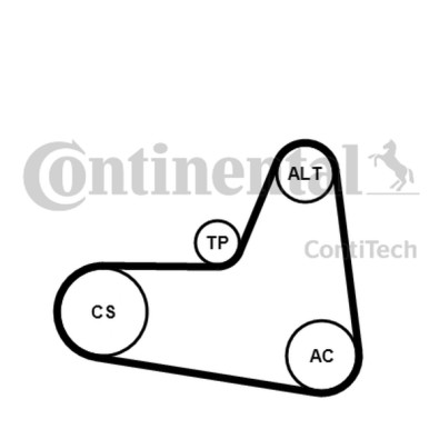 Kit Cinghie Poly-V