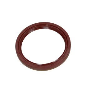 Paraolio
