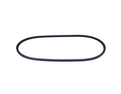 Cinghia trapezoidale