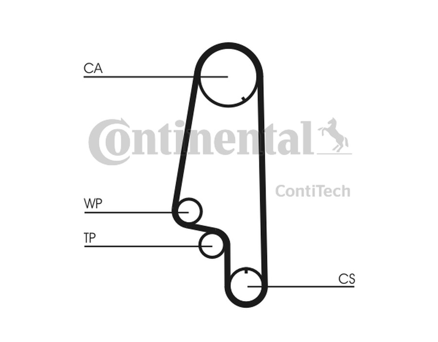 CINGHIA POLY-V_CT846