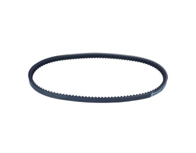 Cinghia trapezoidale