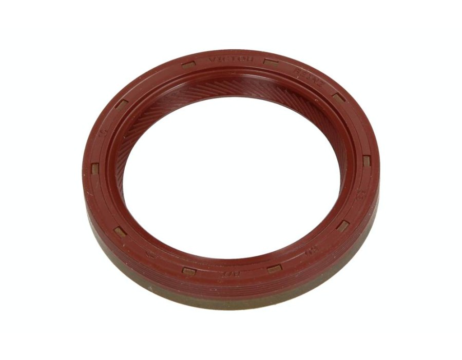 CINGHIA DENTATA_81-28236-00