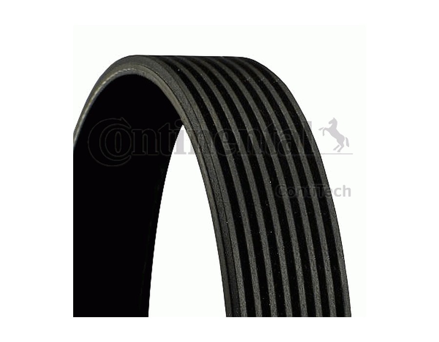 CINGHIA POLY-V_8PK1400