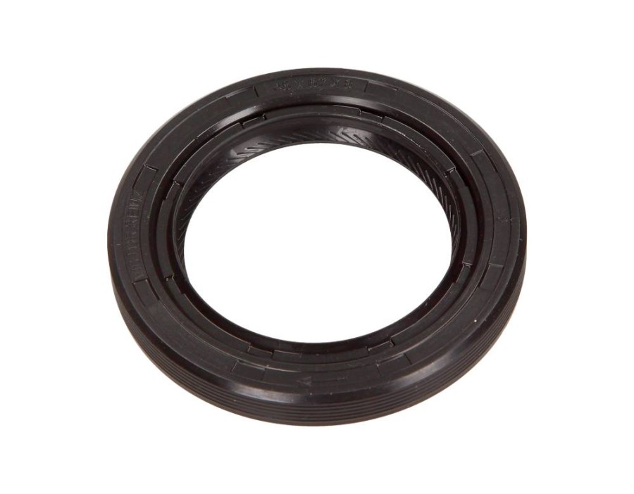 CINGHIA POLY-V_81-26248-00