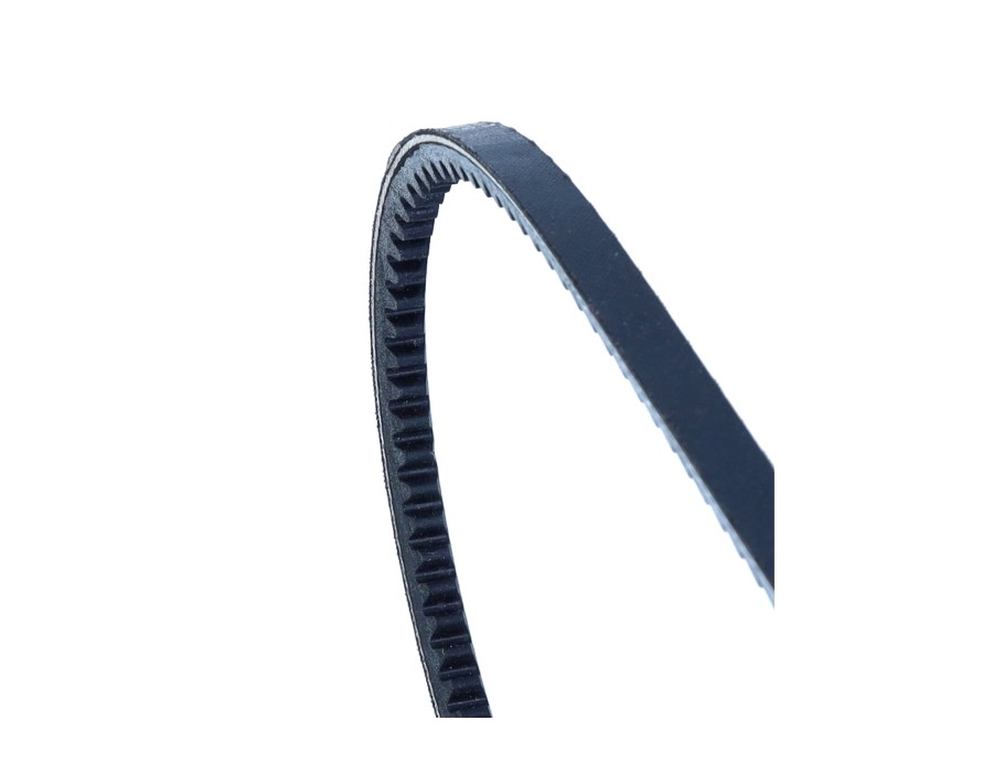 CINGHIA POLY-V_AVX10*715