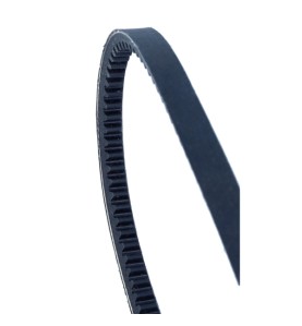 Cinghia trapezoidale